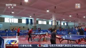 2026年世界杯官网 目前乒乓球台有三种类型